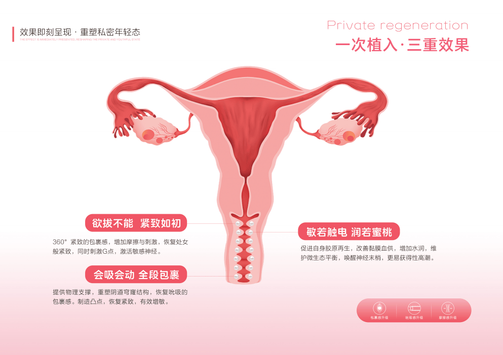 欲龙珠项目手册【内部参考】